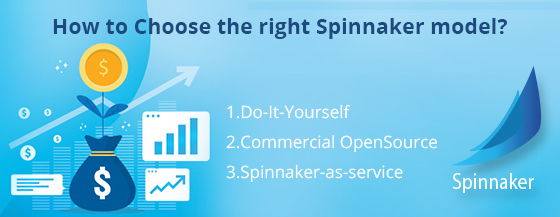 Spinnaker Operating Models: How to choose a model with best ROI for your business diagram