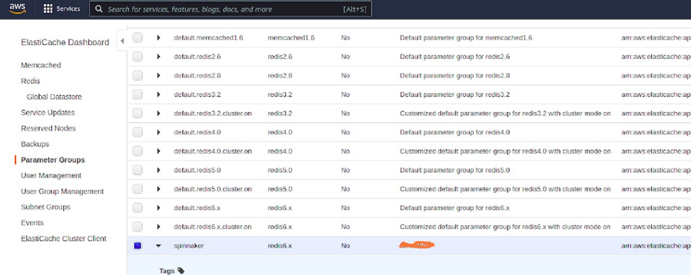 search parameter group aws