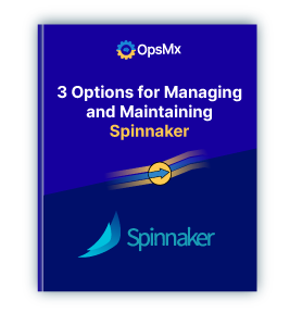 3 Options for Managing and Maintaining Spinnaker