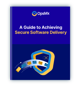 SECURE SOFTWARE DELIVERY eBook
